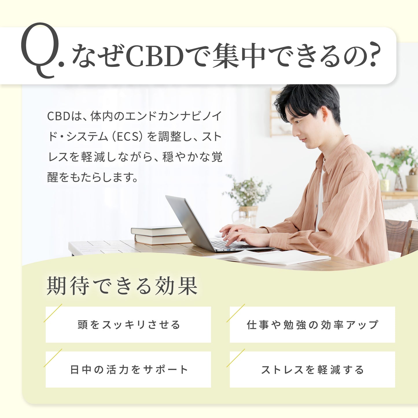 【販売開始キャンペーン開催中】GOOD DAYS CBD FOCUS|集中&ストレスケア CBDオイル|医療グレードCBD配合(11ml 約22回分)|送料無料 仕事・勉強・子育て中にも