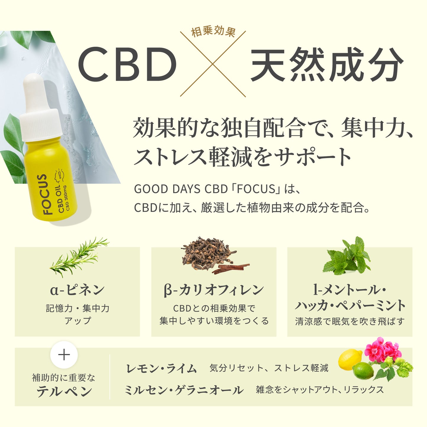 【販売開始キャンペーン開催中】GOOD DAYS CBD FOCUS|集中&ストレスケア CBDオイル|医療グレードCBD配合(11ml 約22回分)|送料無料 仕事・勉強・子育て中にも