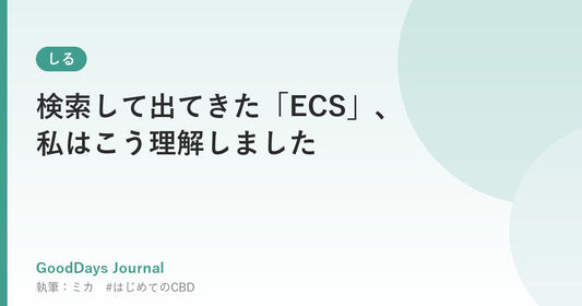 検索して出てきた「ECS」、私はこう理解しました