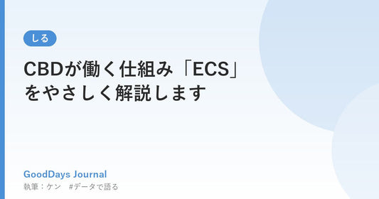 CBDが働く仕組み「ECS」をやさしく解説します