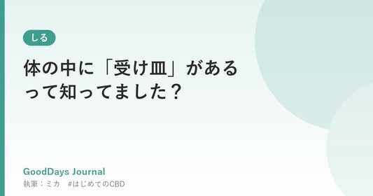 体の中に「受け皿」があるって知ってました？