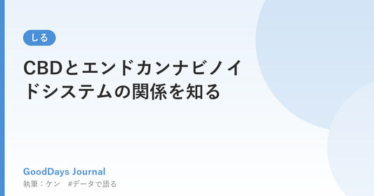 CBDとエンドカンナビノイドシステムの関係を知る