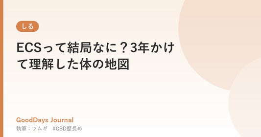 ECSって結局なに？3年かけて理解した体の地図